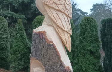 Ferienwohnung Perlitz - Foto 7