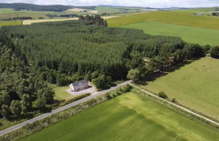 The Clearing - Photo 1