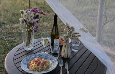 Monte das Aranhas - Foto 49