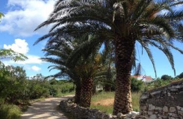 House Sakarun - Photo 19