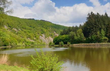 Ferienwohnung am Saarweg - Photo 15