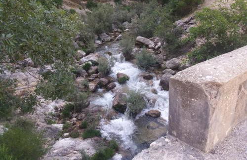 Alojamiento aguasblanquillas - Foto 14