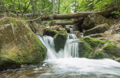 HIRSCH Hänsel Ferienhaus Garten mit Bergblick - Grill -Wald - Foto 42