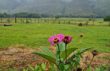 Casa Lua e Flor - Foto 25
