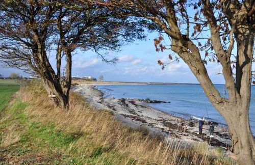 Küstenblick Marienleuchte - Foto 20