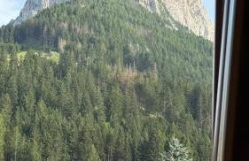 Appartamento Le Due Cime a Pozza di Fassa TRENTO - Foto 42