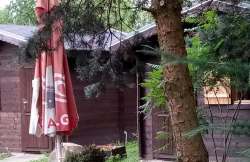 Bike Camping - Foto 16