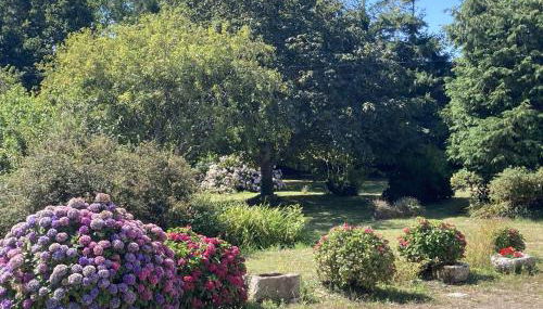 711- Spacieuse ferme bretonne - Foto 5, Garden, Garden view