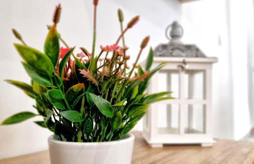 Apartamento Andalusí & Parking Incluido & Casco Histórico - Foto 19