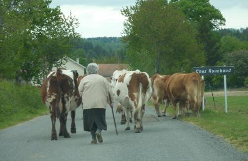 L'Hirondelle Gite - Foto 25