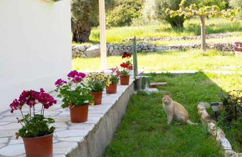 Eleonas Country House - Foto 66