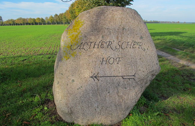 2 bedroom House in Splietsdorf with garden and terrace - Photo 17