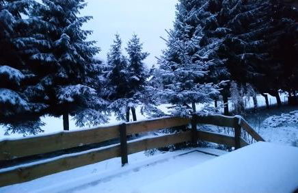 Ferienhaus Allzunah - Photo 17