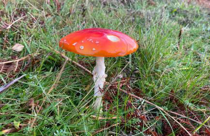 Beautiful cottage in a wonderful Highland setting - Foto 23