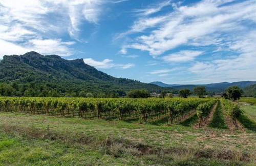 Un joli hameau au coeur du vignoble de l'Escarelle et de la Provence Verte - Foto 42