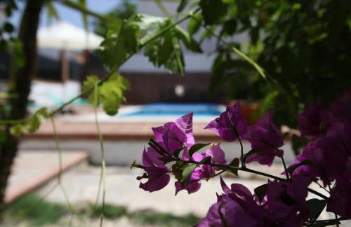 Lovely 10-bed Villa With Private Pool & Garden - Foto 25