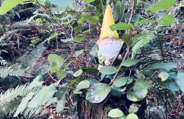 Perch - Ellie's Secret Cabin - Foto 56