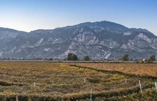 Agriturismo Sicher - Foto 27