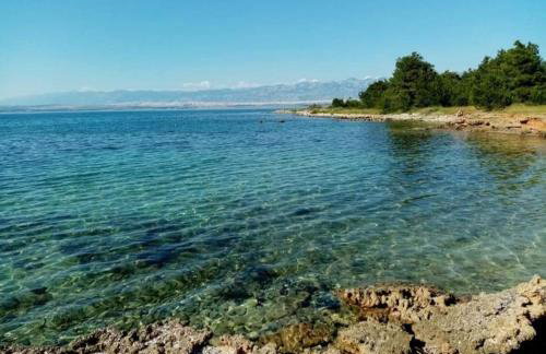 Apartmani DBS - Foto 12