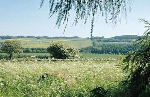 Clematis cottage - Photo 17