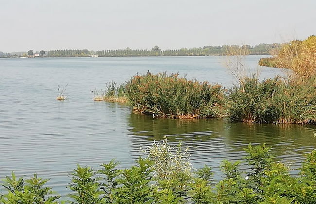 B&B Ciliegio Felice - Foto 22