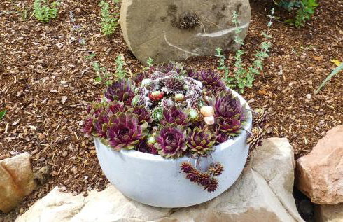 Winzerlodge, Wohnung Hatzelberg - Foto 17