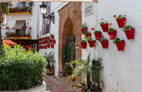 piso centrico en avenida principal - Photo 33