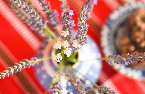 Talblick 2 - Ihr Ferienhaus mitten im idyllischen Tal - Foto 6