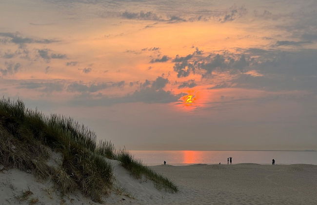 Luxurious Studio on the Border of Zeeland - Photo 38