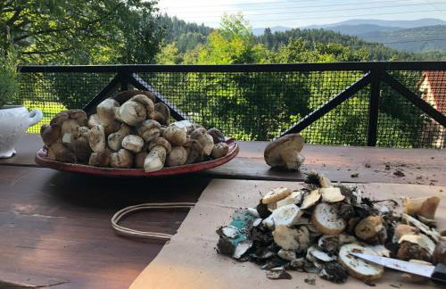 Klimatyczny dom z widokiem na Babią - kominek i ogrodzenie - Foto 45