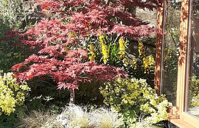 Moatville Cupar - Foto 25