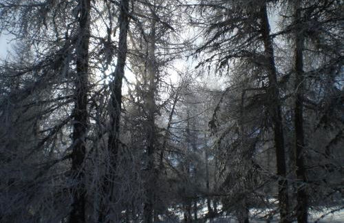 T3 coquet et lumineux aux pieds des pistes - Foto 19