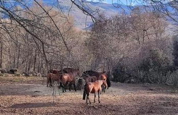 El Rincón de Gredos - Photo 9