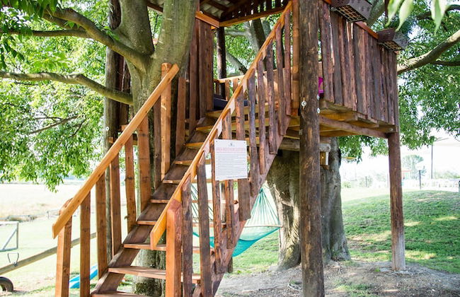 Agriturismo Bosco del Gal - Photo 25