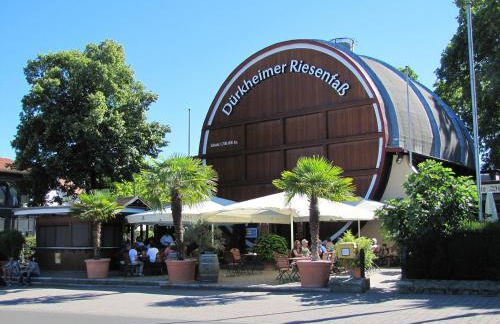 Dürkheimer Auszeit-gemütliches Studio am Kurpark - Foto 18