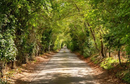Family Cotswolds Cottage Farm Stay - The Smythy - Foto 70