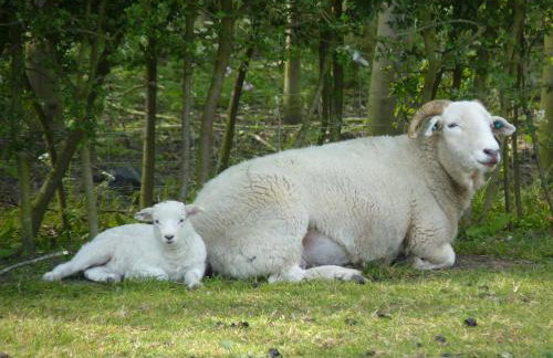 Corner Farm Barn - Foto 20