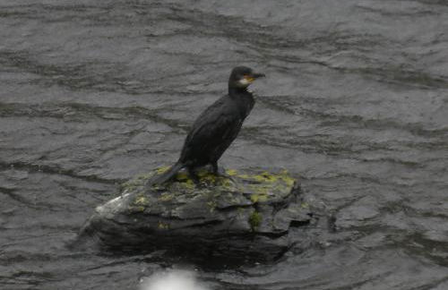 The Causeway - Foto 40