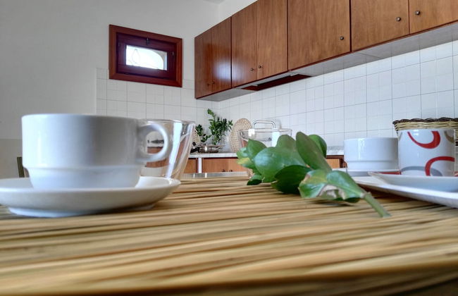 Azienda Agricola Francesca Stajano - Foto 29