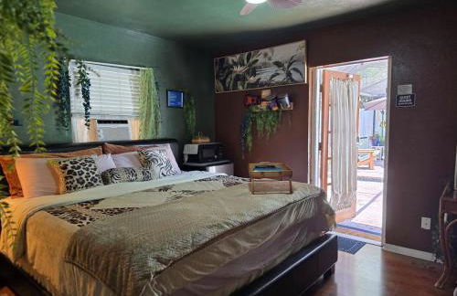 Jungle Oasis By Busch Gardens USF and Amphitheater - Foto 20