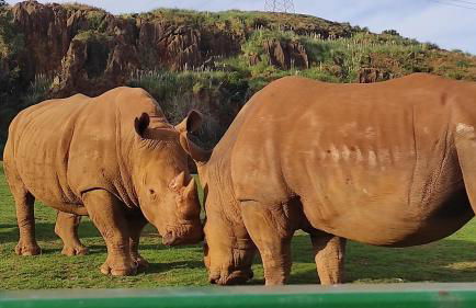 Casa Rio Cubas - Foto 43