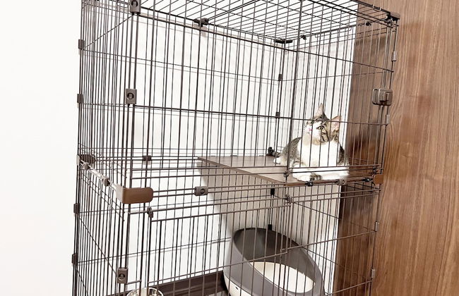 Coral Gate In Kume - Foto 18