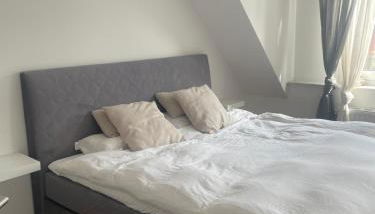 Executive Maisonette Penthouse Loft, Rooftop Pool, Central Hannover and Direct Messe Connection - Foto 4