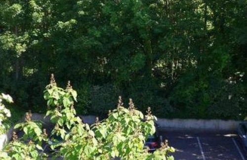 Bel appartement meublé et aménagé - Foto 28