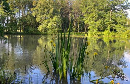 Cottage in Les Eyzies-De-Tayac-Sireuil with pool - Photo 9