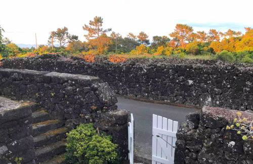 Casa 3 Picos 1 - Photo 4