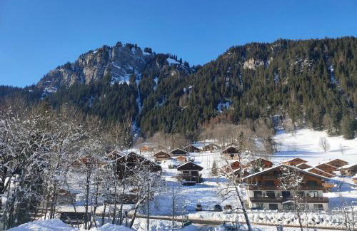 Studio Châtel Secteur Linga Proche Pistes - Foto 13