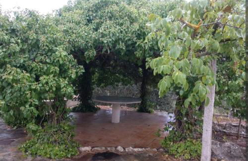 Increíble Casa Rural en la Sierra de Altomira Piscina privada y Barbacoa - Foto 43