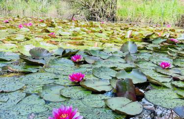 Jolie maison au cœur de la Marina Talaris Lacanau - Foto 43