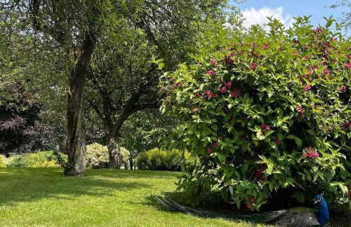 Agriturismo Lambra La Casa Del Sol - Foto 11